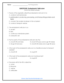 Endoplasmic Reticulum Question Worksheet