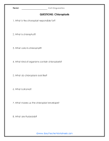 Chloroplast Questions Worksheet