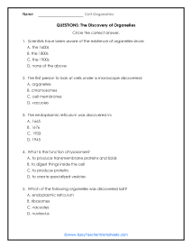 Discoveries Questions Worksheet