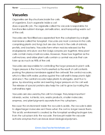 Vacuole Worksheet