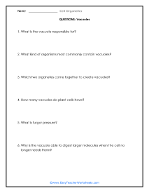 Vacuole Questions Worksheet