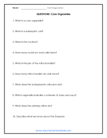 Main Part Questions Worksheet