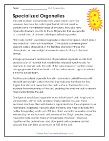 Specialized Organelles Worksheet