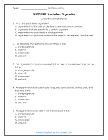 Specialized Organelle Question Worksheet