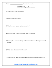 Cyclic Questions Worksheet