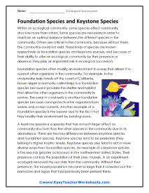 Foundation and Keystone Species Worksheet