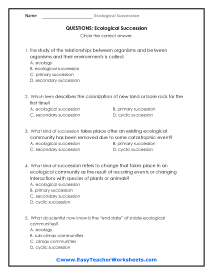 What is it Questions Worksheet