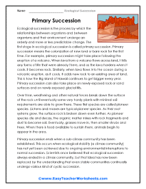 Primary Succession Worksheet