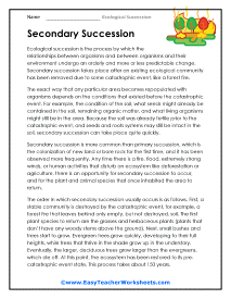 Secondary Worksheet