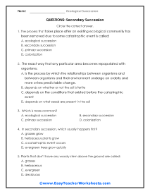 Secondary Questions Worksheet