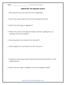 Digestive System Reading Worksheet