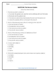 Nervous System Reading Worksheet