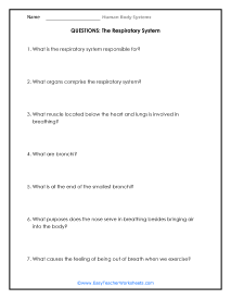 Respiratory System Reading Worksheet