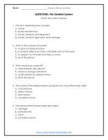 Skeletal System Question Questions