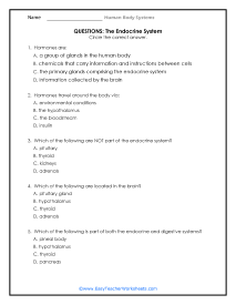 Endocrine System Reading Worksheet