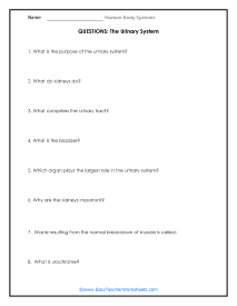 Urinary System Questions