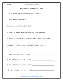 Integumentary System Questions