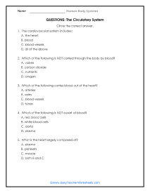 Cardiovascular System Questions