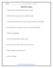 Spider Question Worksheet
