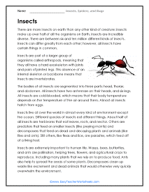 All About Insects Worksheet