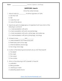 Insect Question Worksheet