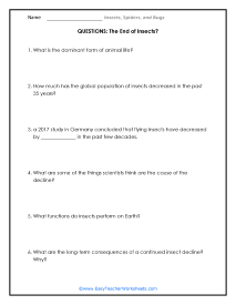 End of Insects Question Worksheet