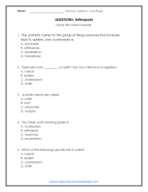 Arthropods Question Worksheet