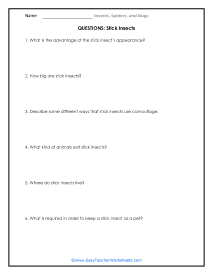 Stick Insect Question Worksheet