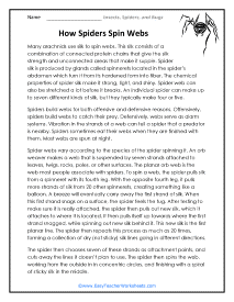 Spiders Spin Webs Worksheet