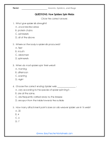 Spiders Spin Webs Question Worksheet