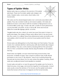 Types of Spider Webs Worksheet