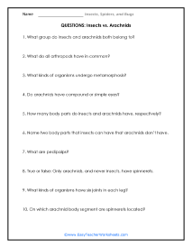 Insects vs. Arachnids  Question Worksheet