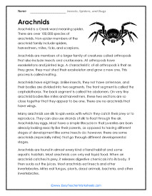 Arachnid Worksheet
