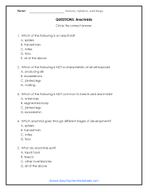 Arachnid Question Worksheet