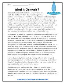 What is Osmosis Worksheet