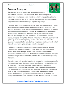 Passive Transport Worksheet