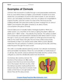 Examples of Osmosis Worksheet