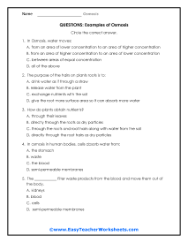 Examples of Osmosis Question Worksheet