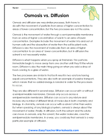 Osmosis vs. Diffusion Worksheet