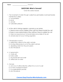 Osmosis Questions Worksheet