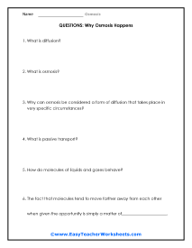Why It Happens Question Worksheet
