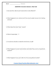 Animal vs. Plant Cells Worksheet