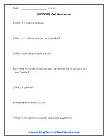 Cell Membrane Question Worksheet