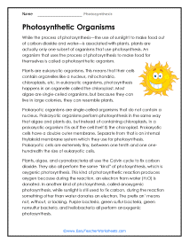 Photosynthetic Organisms Worksheet