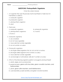 Photosynthetic Organisms Question Worksheet