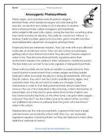 Anoxygenic Photosynthesis Worksheet