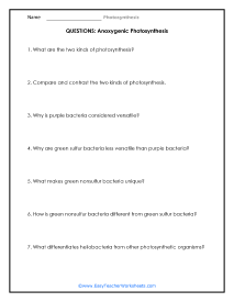 Anoxygenic Photosynthesis Question Worksheet