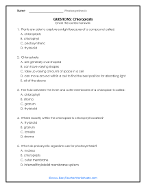 Chloroplasts Question Worksheet