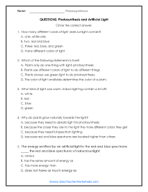 Artificial Light Question Worksheet