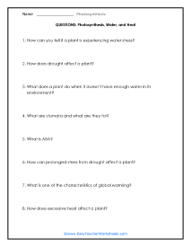 Water and Heat Question Worksheet